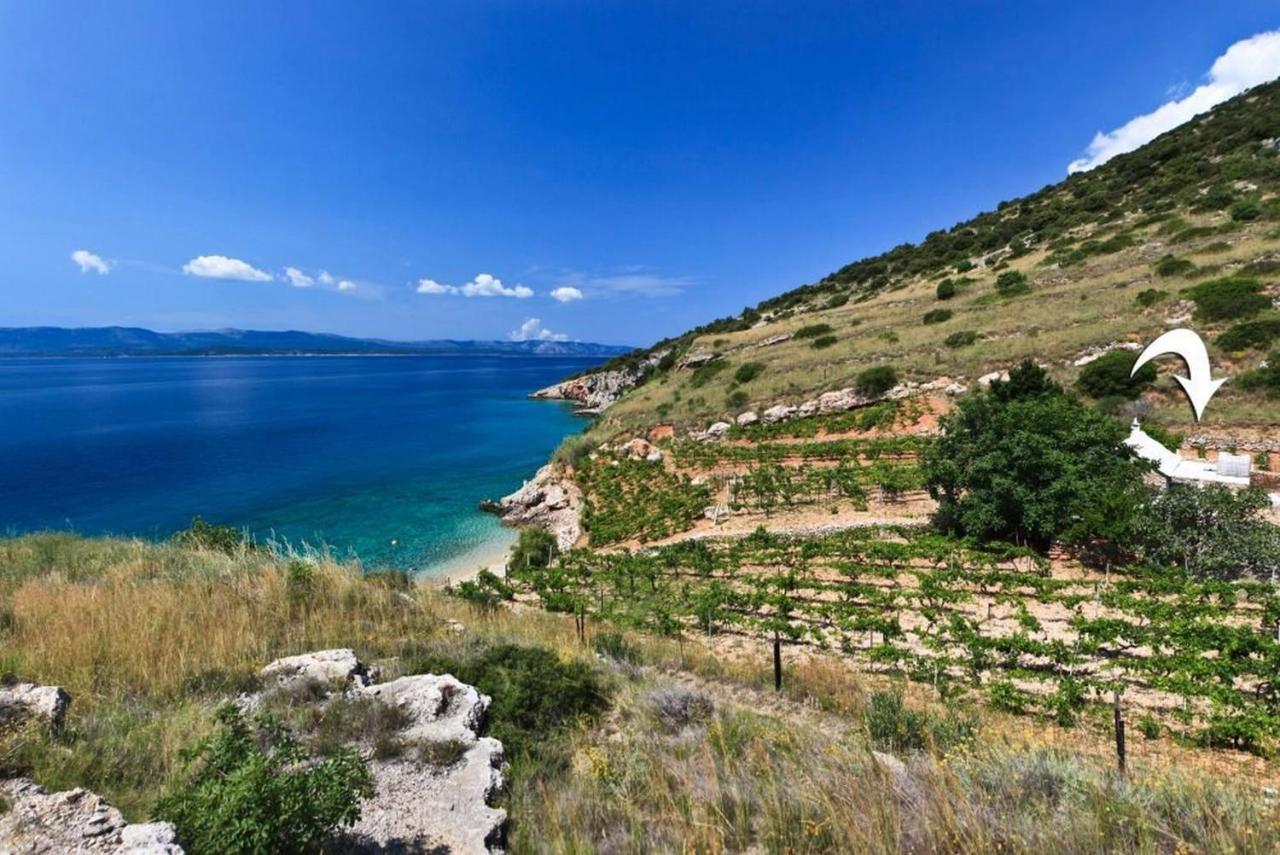 Villa Robinson Capitano Bol Esterno foto