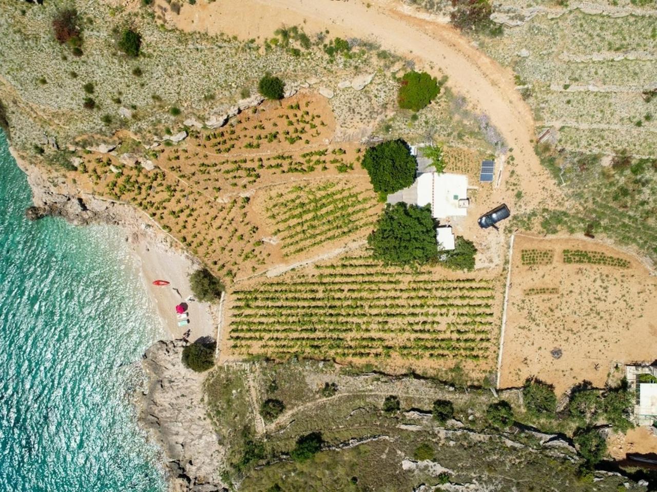 Villa Robinson Capitano Bol Esterno foto